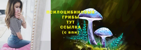 а пвп мука Абаза