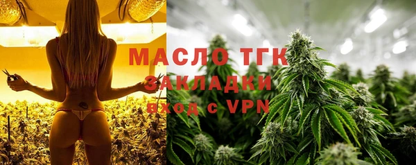 стафф Гусев