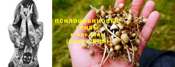 а пвп мука Абаза